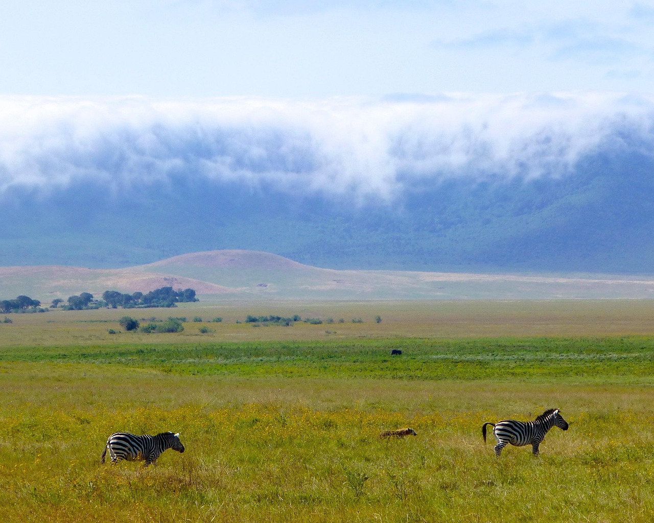 2-Day Lake Manyara & Ngorongoro Safari – Explore Wildlife 2025